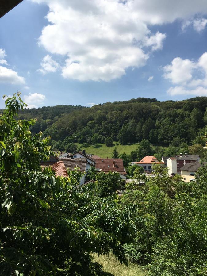 Haus Sonnenschein Daire Mespelbrunn Dış mekan fotoğraf