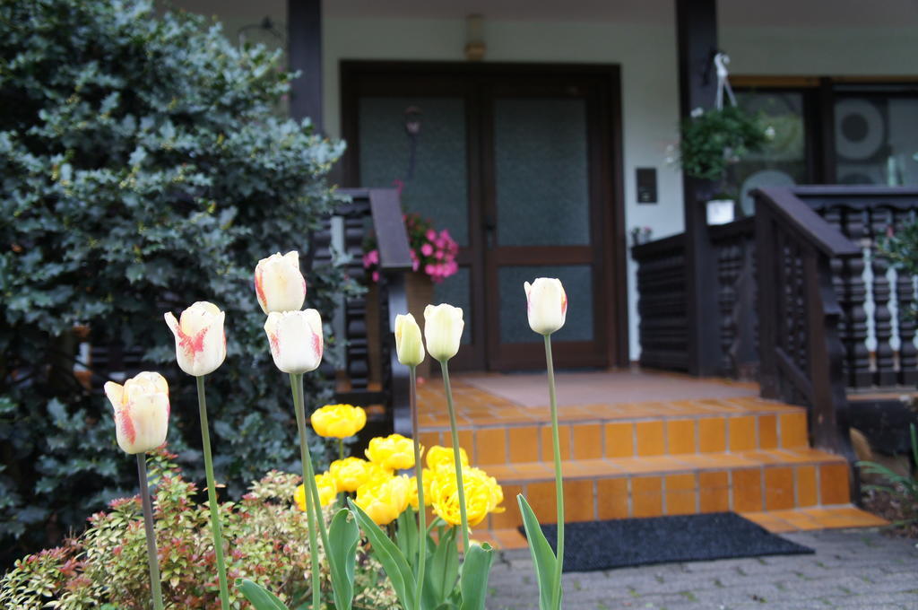 Haus Sonnenschein Daire Mespelbrunn Dış mekan fotoğraf